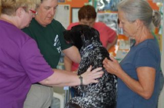 480_Wilmington_PICTURE_316